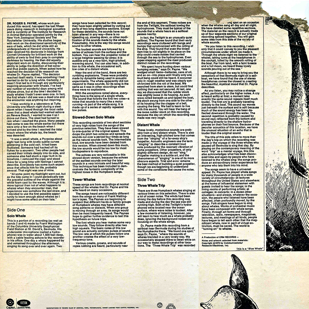 Songs of the Humpback Whale back