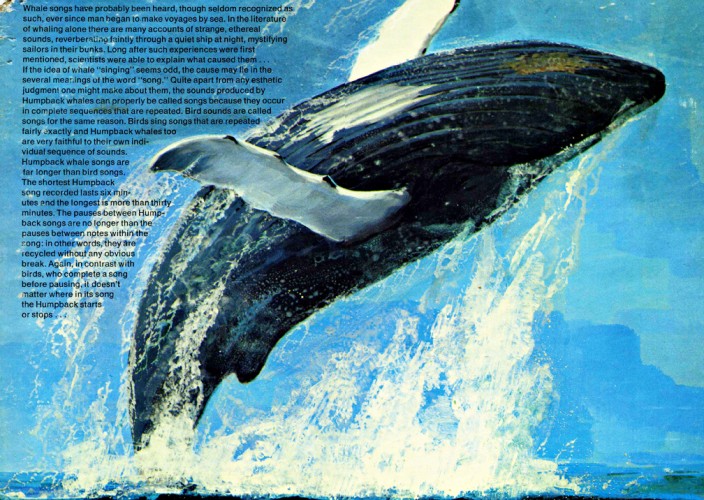 Songs of the Humpback Whale