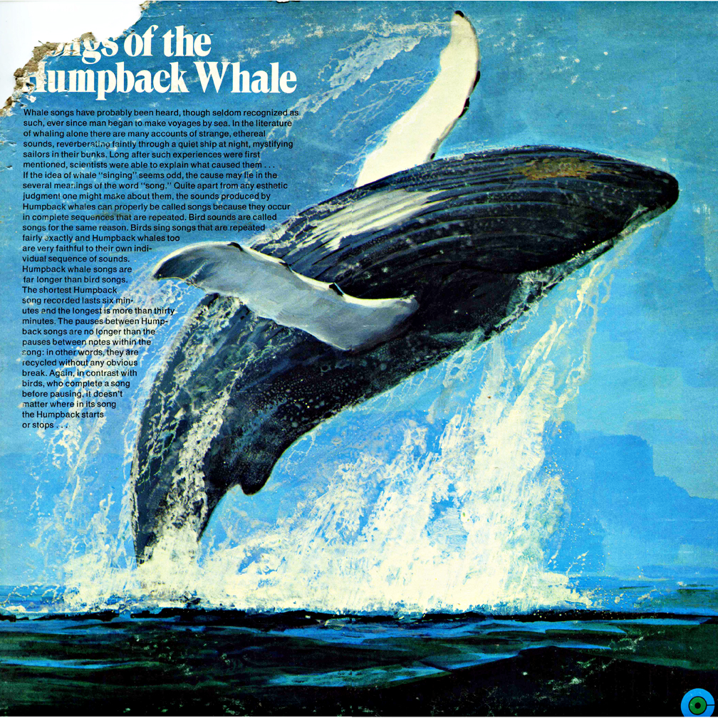 Songs of the Humpback Whale